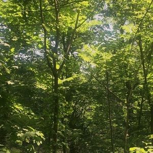 Meet your Posher, Laiba